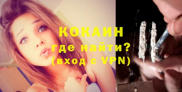 молекула духа Козловка