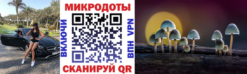 Купить  Реутов  Псилоцибиновые грибы Psilocybine cubensis 